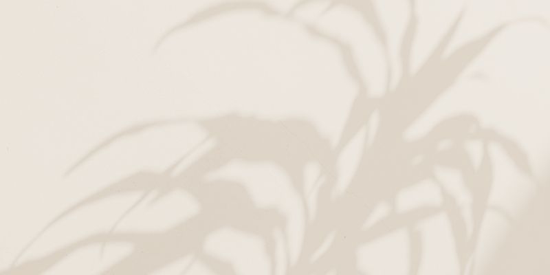 10 DPO: Symptoms, Fertility, and Whether You Should Take a Pregnancy Test